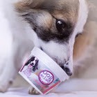 DOG HELADO DE GALLETA